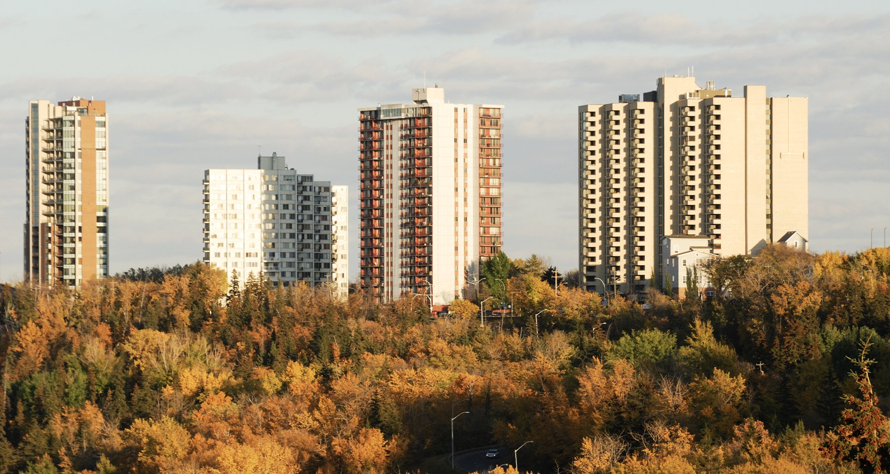 Изображение темы дня