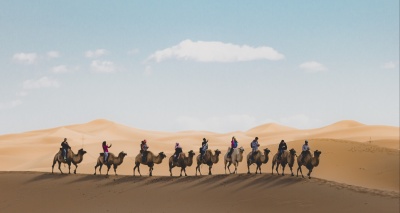 Главное изображение