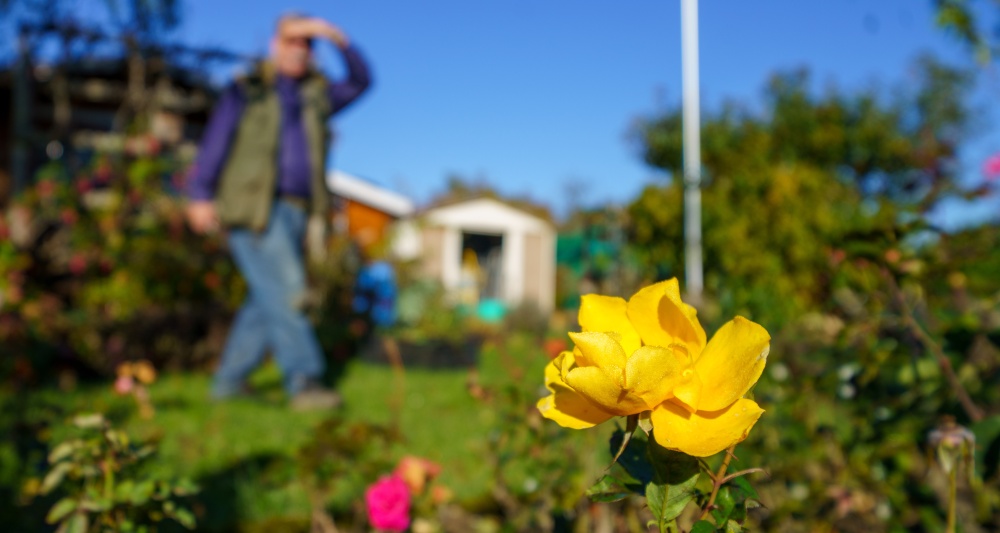 Изображение темы дня