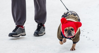 Главное изображение