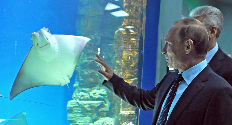 Изображение темы дня