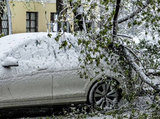 Обложка новости