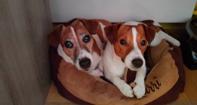 Главное изображение