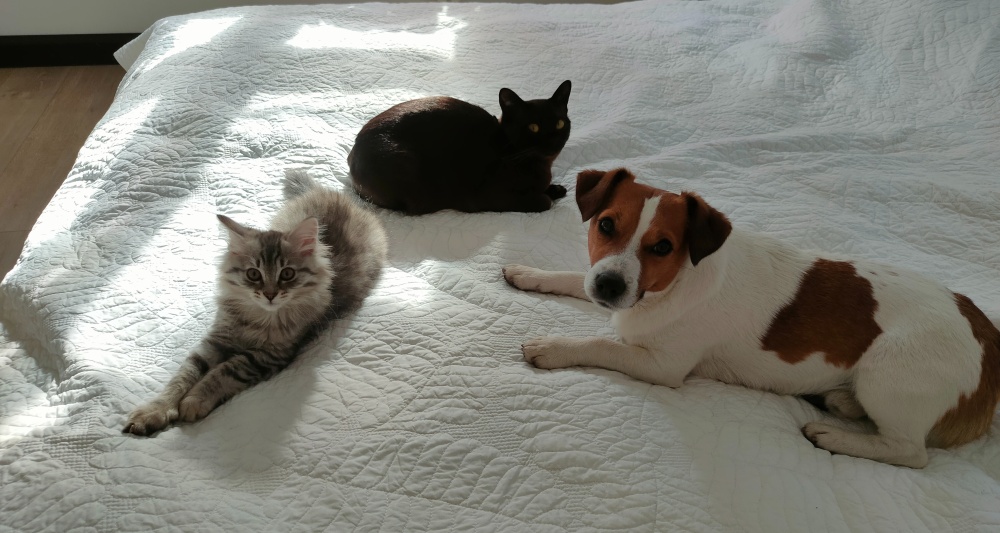 Изображение темы дня