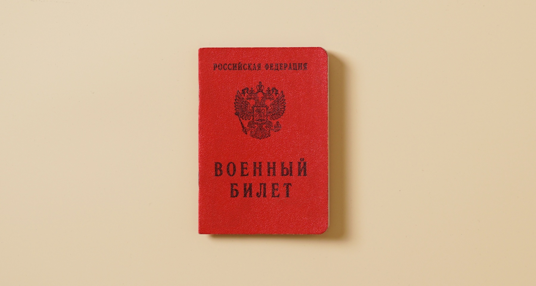 Единый реестр повесток заработал в тестовом режиме: как будут вручать повестки и какие ограничения накладываются на граждан