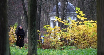 Главное изображение