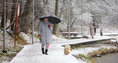 Главное изображение