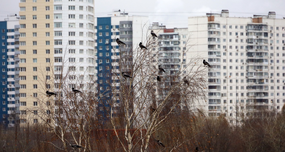 Изображение темы дня