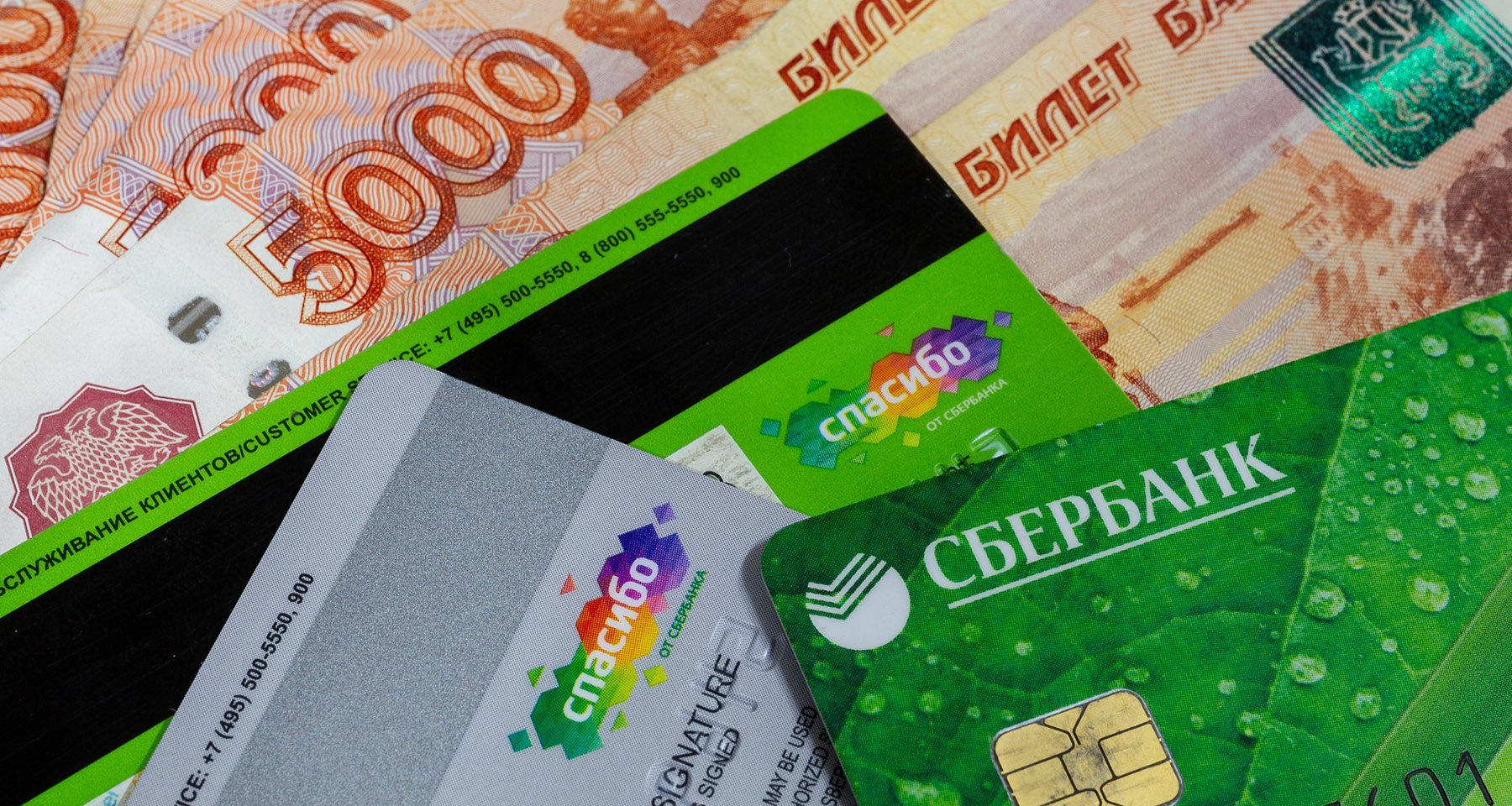 Бонусы «Спасибо» от СберБанка: как экономить на покупках в 75 000 торговых точек