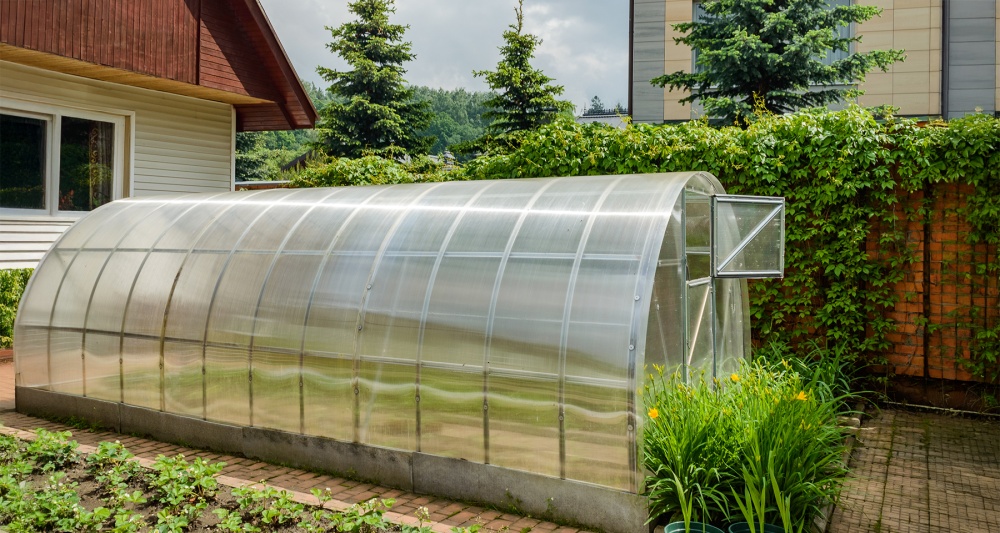 Изображение темы дня