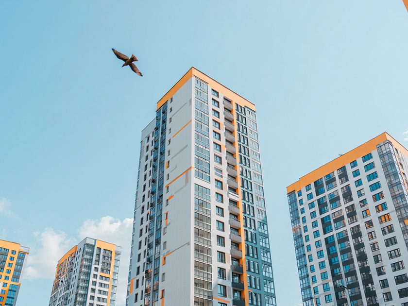 Обложка новости