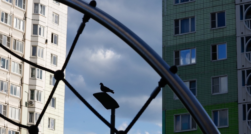 Изображение темы дня