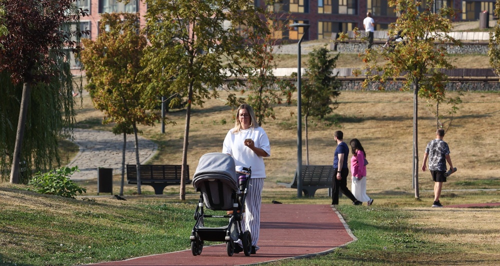 Изображение темы дня