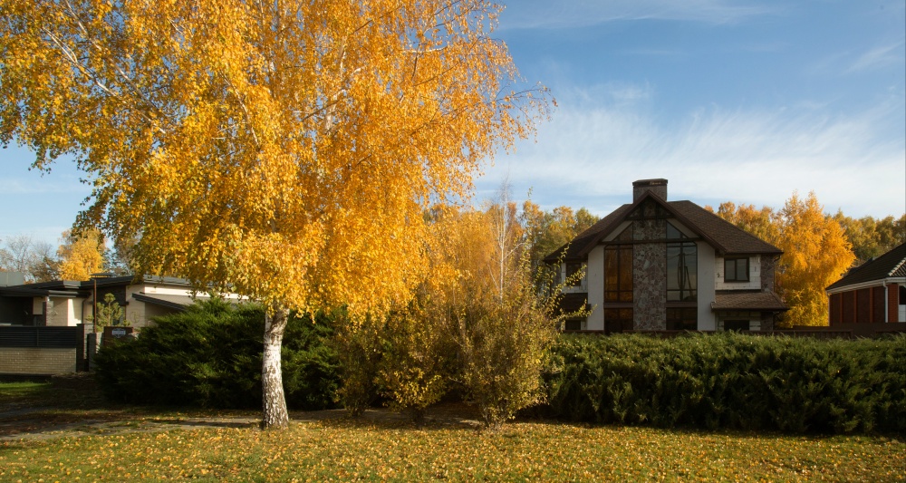 Изображение темы дня