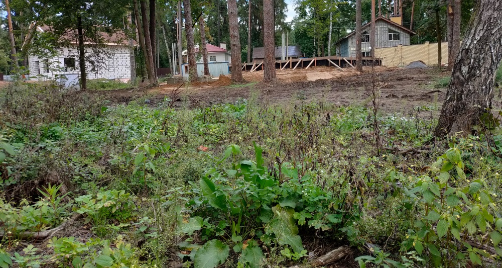 Изображение темы дня