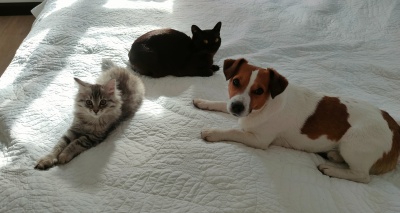 Главное изображение