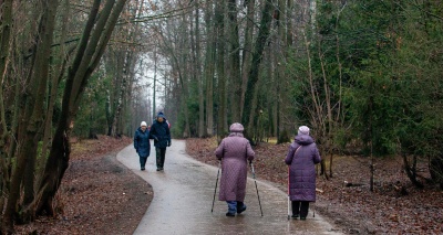 Главное изображение