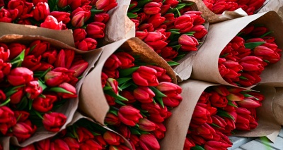 Главное изображение