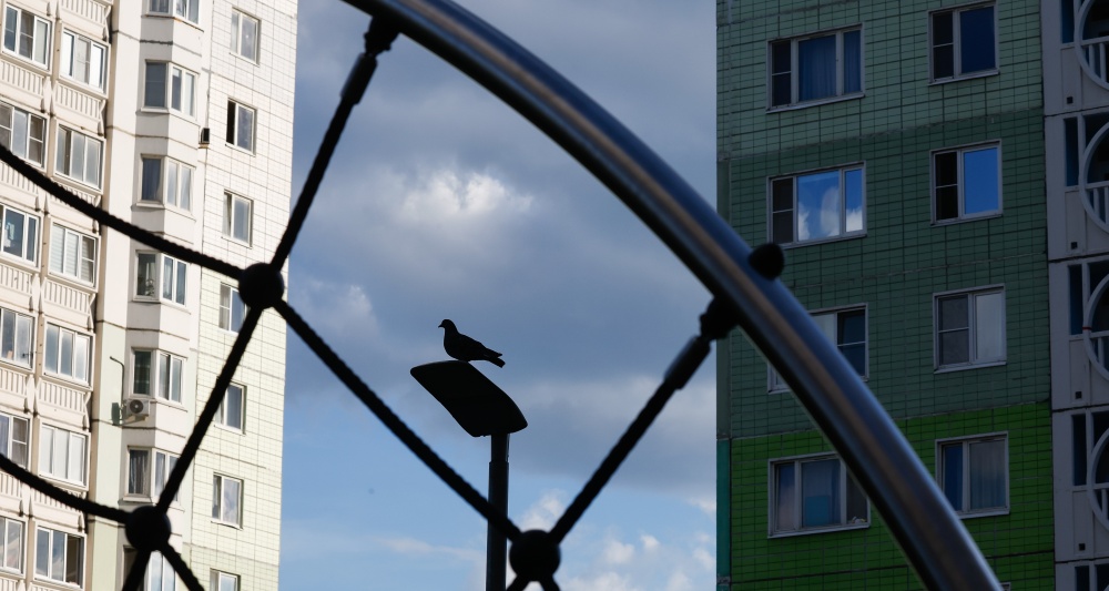 Изображение темы дня