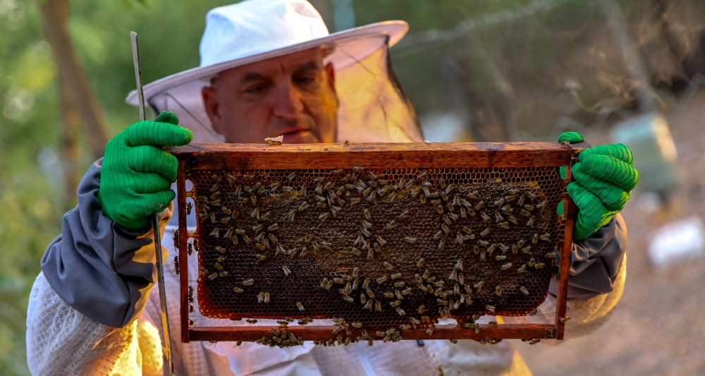 Изображение темы дня