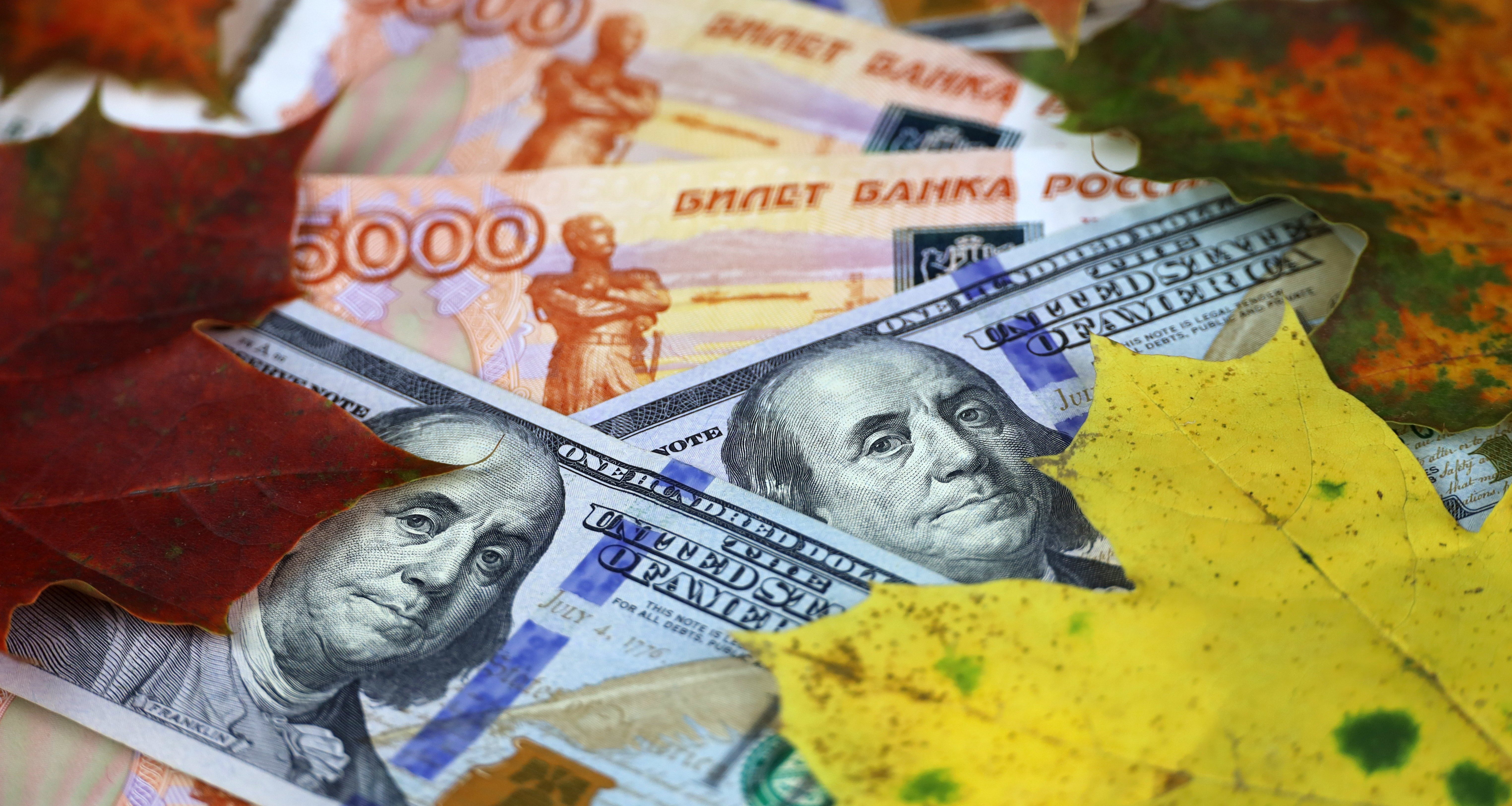 Россиянам рассказали, стоит ли избавляться от наличных долларов и евро