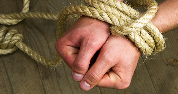 Изображение новости