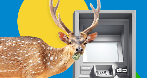 Изображение темы дня