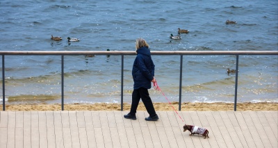 Главное изображение