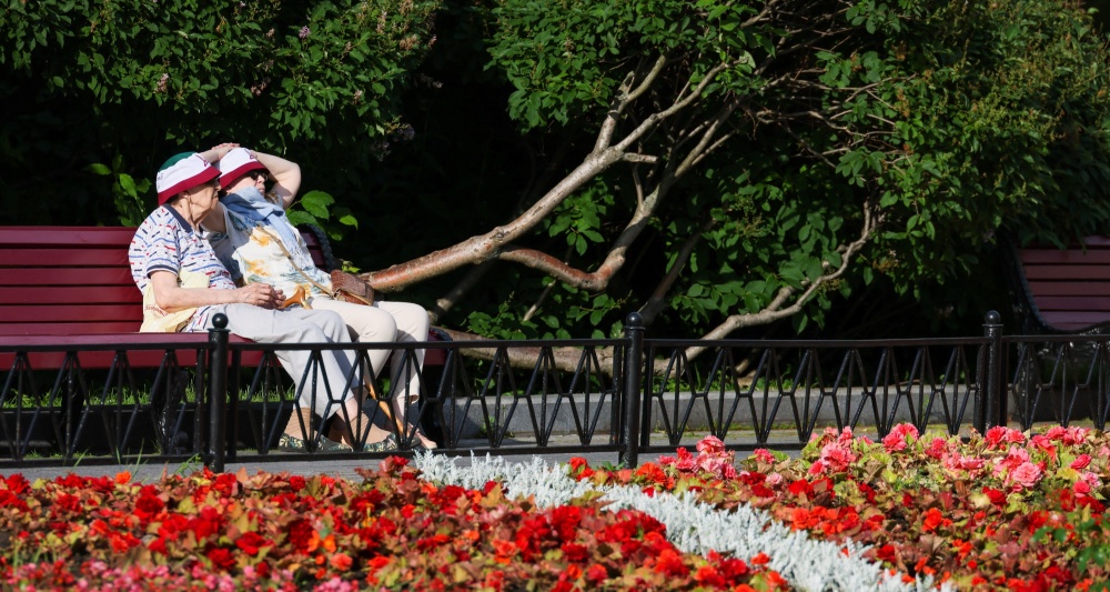 Изображение темы дня