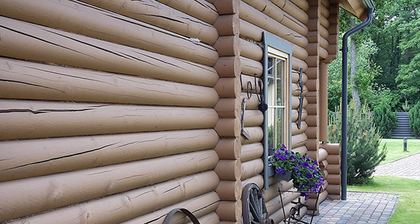 Изображение темы дня