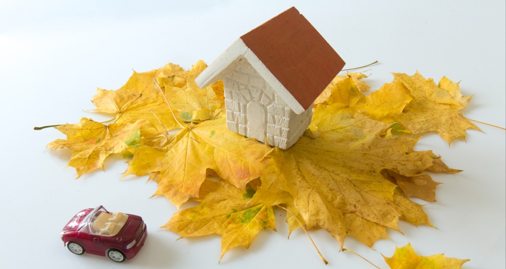 Изображение темы дня