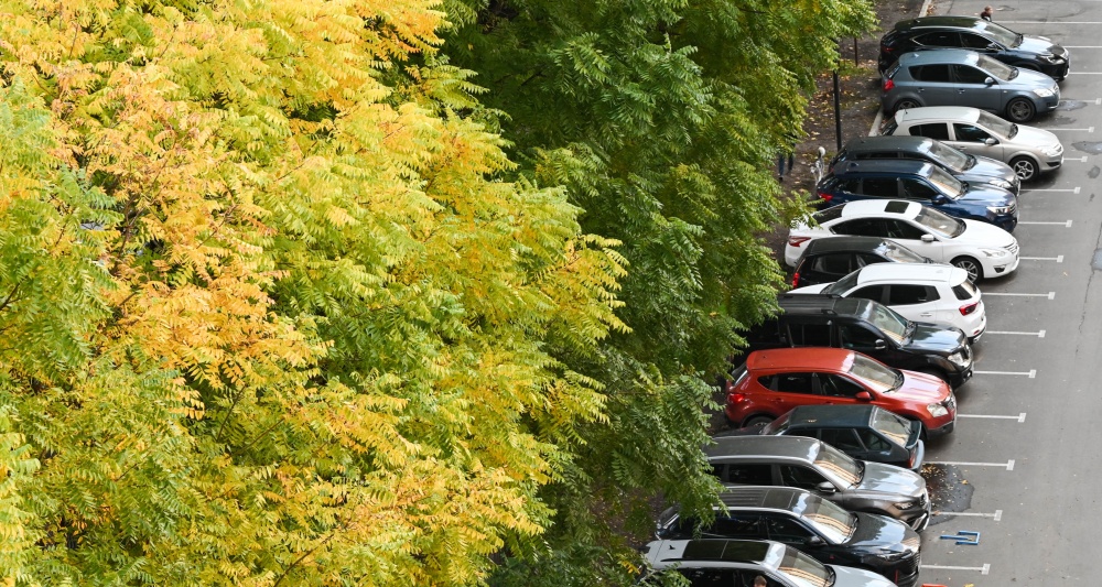 Изображение темы дня