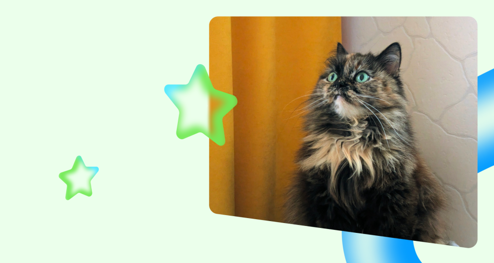 Изображение темы дня