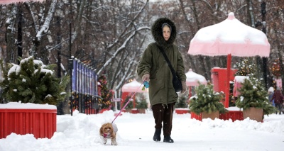 Главное изображение